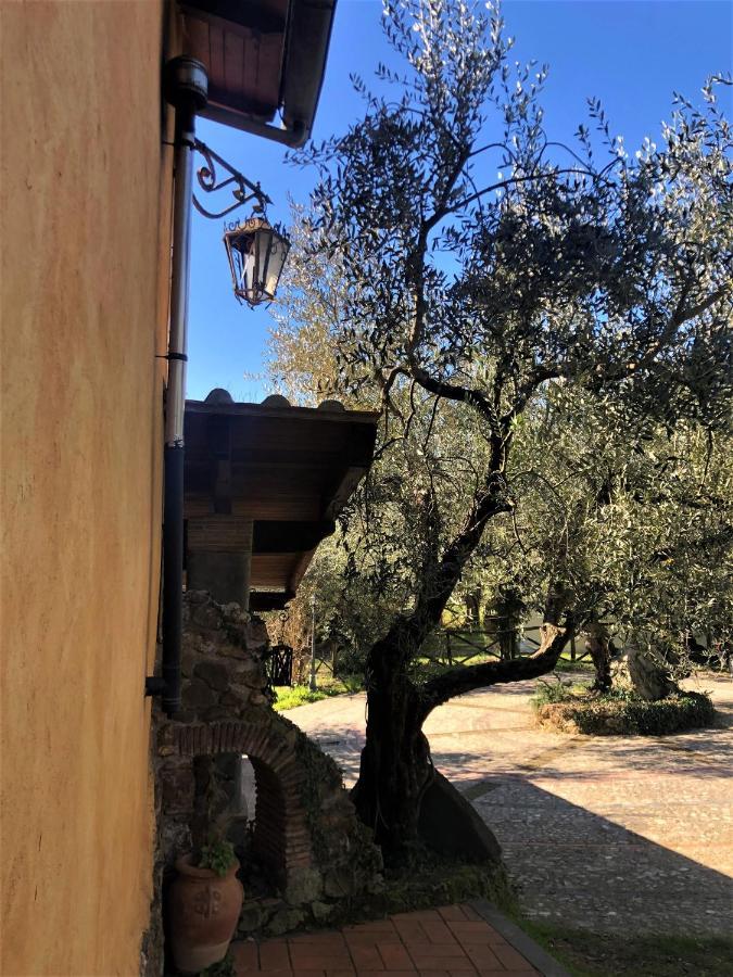 Villa Casale L'Antica Mola Castel Madama Exterior foto